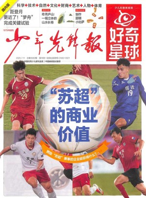 少年先锋报杂志订阅